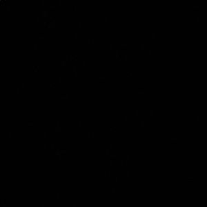 Meet your Posher, Tye